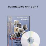 Bodyreading 101 – 2 of 3 by Tom Myers