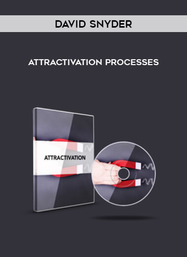 Attractivation Processes by David Snyder