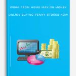 Work From Home Making Money Online Buying Penny Stocks Now