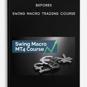 Bkforex – Swing Macro Trading Course