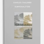 Charles-Faulkner-–-SubModalities-400×556