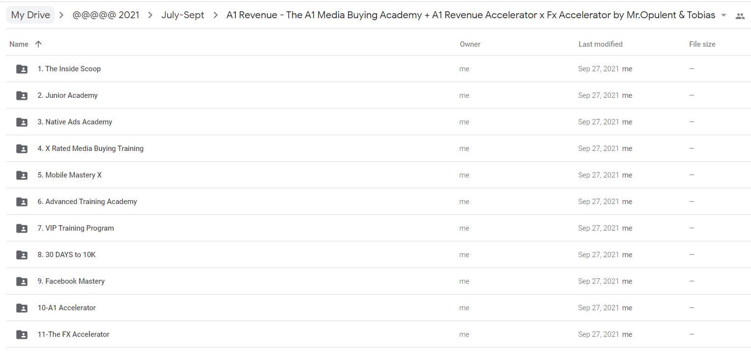 A1 Revenue - The A1 Media Buying Academy + A1 Revenue Accelerator x Fx Accelerator by Mr.Opulent & Tobias