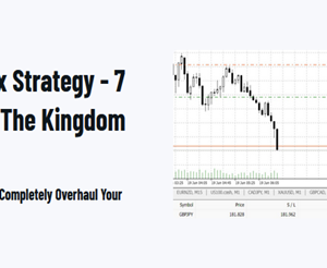 1 Minute Master – The Holy Grail Forex Strategy – 7 Setups To Conquer The Kingdom