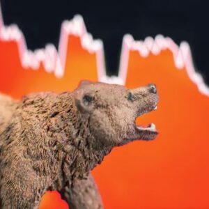 BEAR MARKET MONEY 2023 By J. Bravo