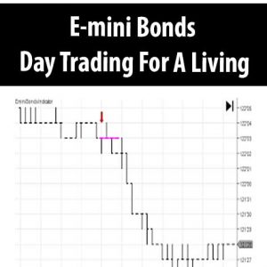 E-mini Bonds – Day Trading For A Living E-mini Bonds – Day Trading For A Living