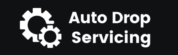 Ricky Mataka – Auto Drop Servicing Ricky Mataka – Auto Drop Servicing